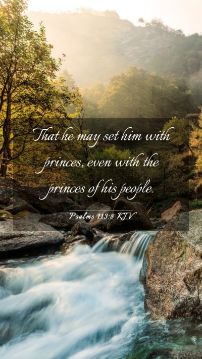 Picture 03 - Psalms 113:8 KJV Mobile Phone Wallpaper - That he may set him with princes, even with the - Mobile Bible Verse Wallpaper