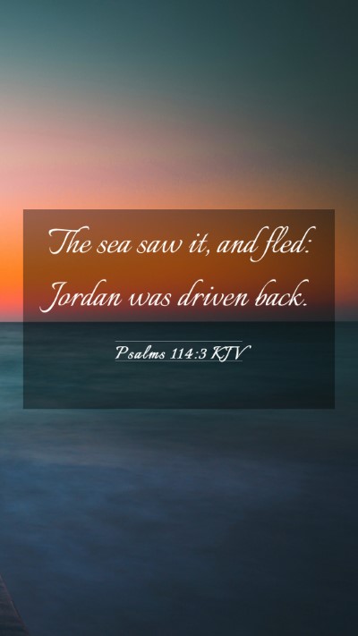 Picture 03 - Psalms 114:3 KJV Mobile Phone Wallpaper - The sea saw it, and fled: Jordan was driven - Mobile Bible Verse Wallpaper