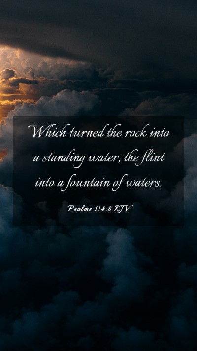 Picture 03 - Psalms 114:8 KJV Mobile Phone Wallpaper - Which turned the rock into a standing water, the - Mobile Bible Verse Wallpaper