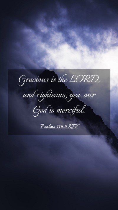Picture 03 - Psalms 116:5 KJV Mobile Phone Wallpaper - Gracious is the LORD, and righteous; yea, our God - Mobile Bible Verse Wallpaper