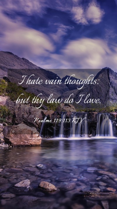 Picture 03 - Psalms 119:113 KJV Mobile Phone Wallpaper - I hate vain thoughts: but thy law do I - Mobile Bible Verse Wallpaper