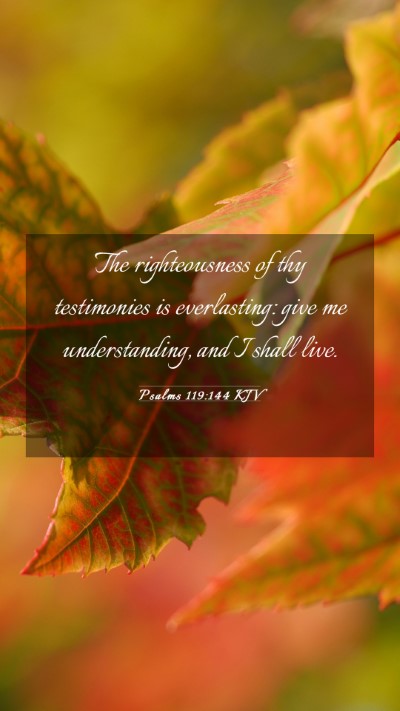 Picture 03 - Psalms 119:144 KJV Mobile Phone Wallpaper - The righteousness of thy testimonies is - Mobile Bible Verse Wallpaper