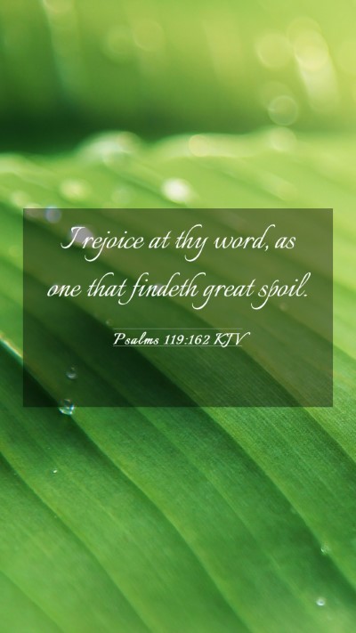 Picture 03 - Psalms 119:162 KJV Mobile Phone Wallpaper - I rejoice at thy word, as one that findeth great - Mobile Bible Verse Wallpaper