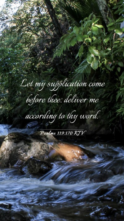 Picture 03 - Psalms 119:170 KJV Mobile Phone Wallpaper - Let my supplication come before thee: deliver me - Mobile Bible Verse Wallpaper