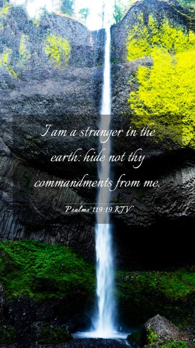 Picture 03 - Psalms 119:19 KJV Mobile Phone Wallpaper - I am a stranger in the earth: hide not thy - Mobile Bible Verse Wallpaper