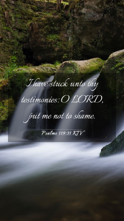 Picture 03 - Psalms 119:31 KJV Mobile Phone Wallpaper - I have stuck unto thy testimonies: O LORD, put me - Mobile Bible Verse Wallpaper