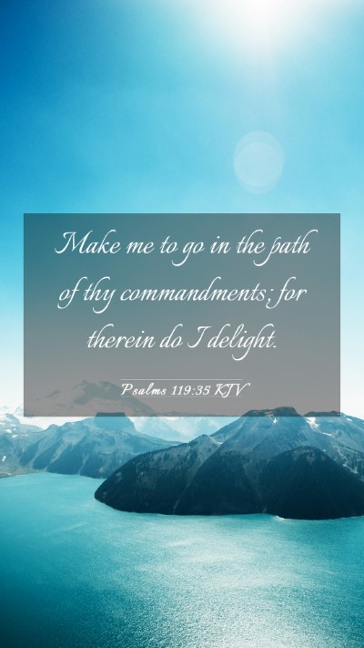Picture 03 - Psalms 119:35 KJV Mobile Phone Wallpaper - Make me to go in the path of thy commandments; - Mobile Bible Verse Wallpaper