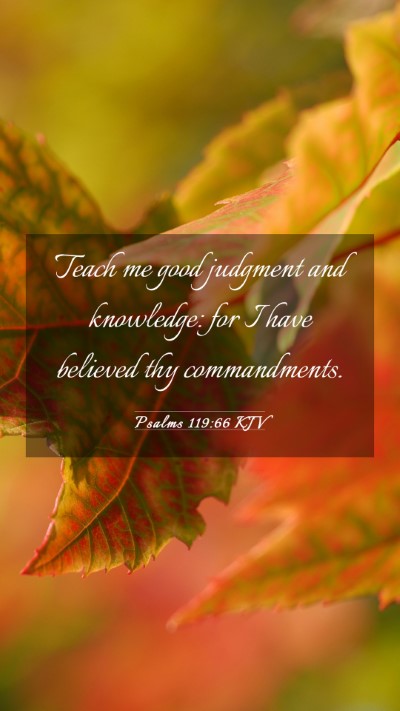 Picture 03 - Psalms 119:66 KJV Mobile Phone Wallpaper - Teach me good judgment and knowledge: for I have - Mobile Bible Verse Wallpaper