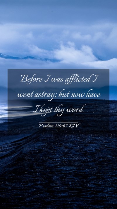 Picture 03 - Psalms 119:67 KJV Mobile Phone Wallpaper - Before I was afflicted I went astray: but now - Mobile Bible Verse Wallpaper