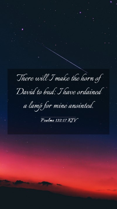 Picture 03 - Psalms 132:17 KJV Mobile Phone Wallpaper - There will I make the horn of David to bud: I - Mobile Bible Verse Wallpaper