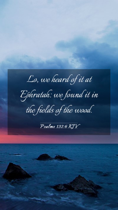 Picture 03 - Psalms 132:6 KJV Mobile Phone Wallpaper - Lo, we heard of it at Ephratah: we found it in - Mobile Bible Verse Wallpaper