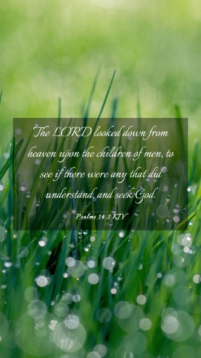 Picture 03 - Psalms 14:2 KJV Mobile Phone Wallpaper - The LORD looked down from heaven upon the - Mobile Bible Verse Wallpaper