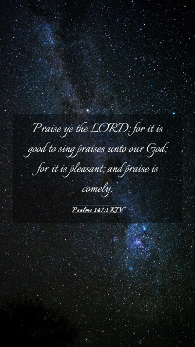 Picture 03 - Psalms 147:1 KJV Mobile Phone Wallpaper - Praise ye the LORD: for it is good to sing - Mobile Bible Verse Wallpaper
