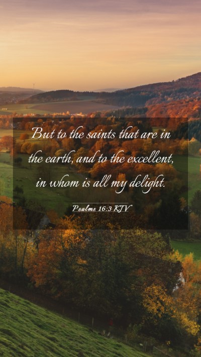 Picture 03 - Psalms 16:3 KJV Mobile Phone Wallpaper - But to the saints that are in the earth, and to - Mobile Bible Verse Wallpaper