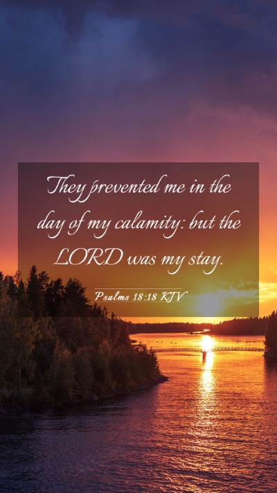 Picture 03 - Psalms 18:18 KJV Mobile Phone Wallpaper - They prevented me in the day of my calamity: but - Mobile Bible Verse Wallpaper