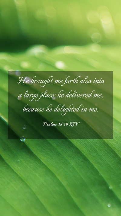 Picture 03 - Psalms 18:19 KJV Mobile Phone Wallpaper - He brought me forth also into a large place; he - Mobile Bible Verse Wallpaper