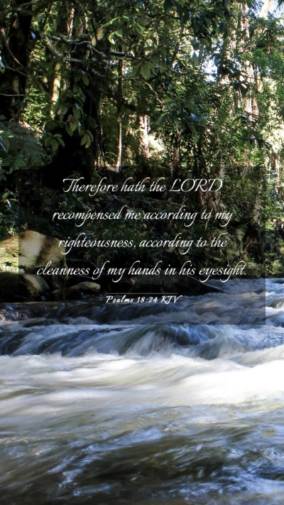 Picture 03 - Psalms 18:24 KJV Mobile Phone Wallpaper - Therefore hath the LORD recompensed me according - Mobile Bible Verse Wallpaper