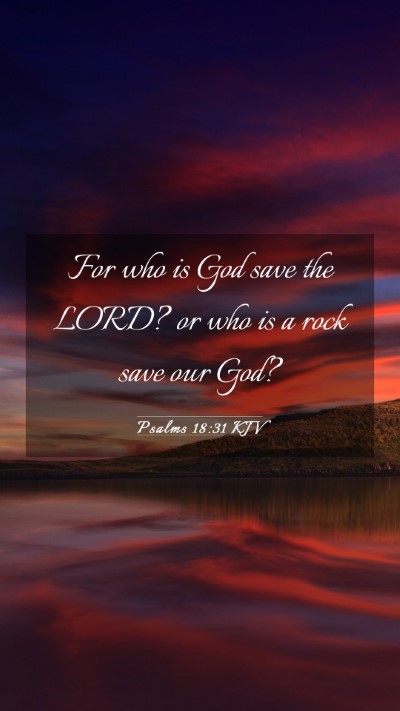 Picture 03 - Psalms 18:31 KJV Mobile Phone Wallpaper - For who is God save the LORD? or who is a rock - Mobile Bible Verse Wallpaper