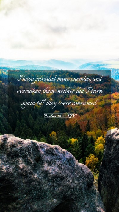 Picture 03 - Psalms 18:37 KJV Mobile Phone Wallpaper - I have pursued mine enemies, and overtaken them: - Mobile Bible Verse Wallpaper