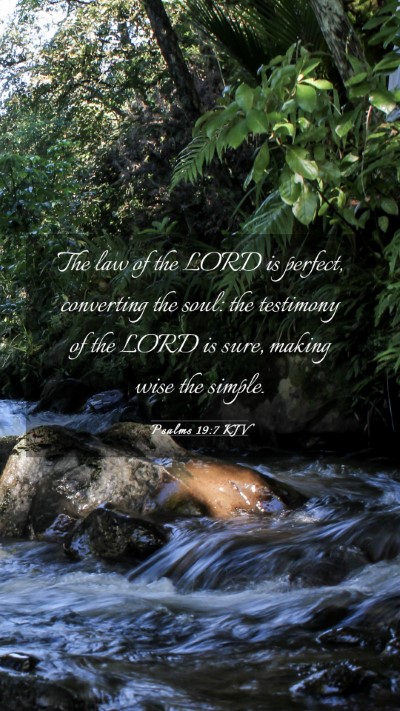 Picture 03 - Psalms 19:7 KJV Mobile Phone Wallpaper - The law of the LORD is perfect, converting the - Mobile Bible Verse Wallpaper