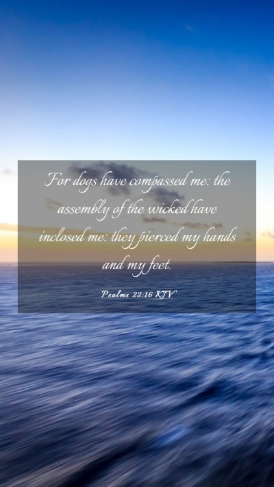 Picture 03 - Psalms 22:16 KJV Mobile Phone Wallpaper - For dogs have compassed me: the assembly of the - Mobile Bible Verse Wallpaper