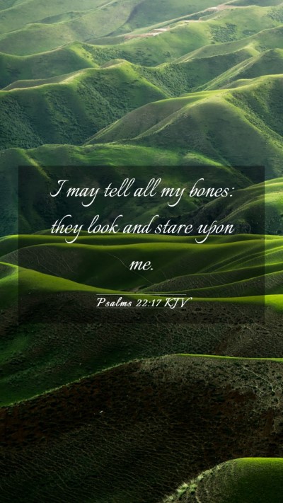 Picture 03 - Psalms 22:17 KJV Mobile Phone Wallpaper - I may tell all my bones: they look and stare upon - Mobile Bible Verse Wallpaper