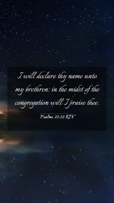 Picture 03 - Psalms 22:22 KJV Mobile Phone Wallpaper - I will declare thy name unto my brethren: in the - Mobile Bible Verse Wallpaper