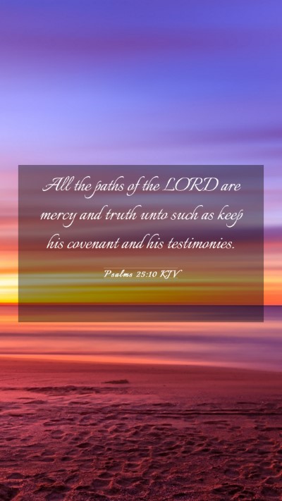 Picture 03 - Psalms 25:10 KJV Mobile Phone Wallpaper - All the paths of the LORD are mercy and truth - Mobile Bible Verse Wallpaper