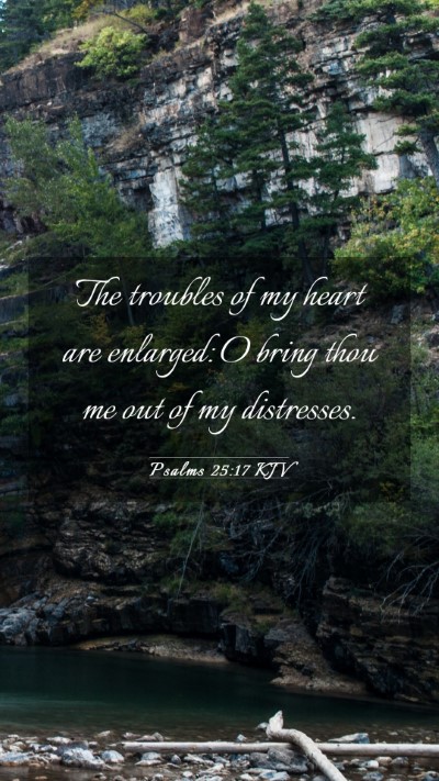 Picture 03 - Psalms 25:17 KJV Mobile Phone Wallpaper - The troubles of my heart are enlarged: O bring - Mobile Bible Verse Wallpaper