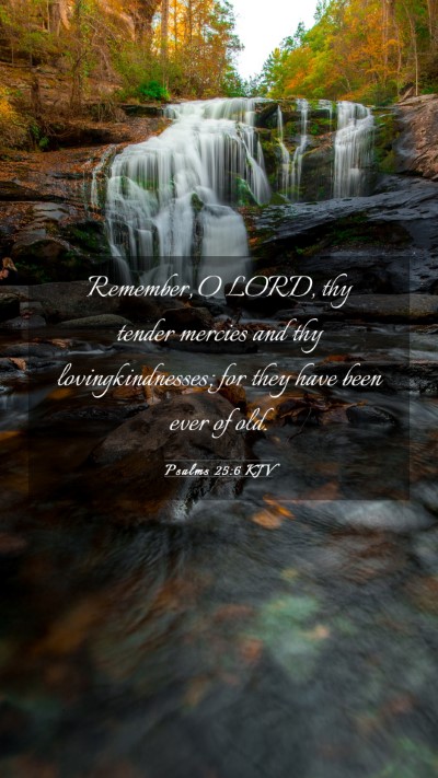 Picture 03 - Psalms 25:6 KJV Mobile Phone Wallpaper - Remember, O LORD, thy tender mercies and thy - Mobile Bible Verse Wallpaper