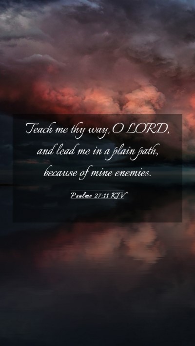 Picture 03 - Psalms 27:11 KJV Mobile Phone Wallpaper - Teach me thy way, O LORD, and lead me in a plain - Mobile Bible Verse Wallpaper