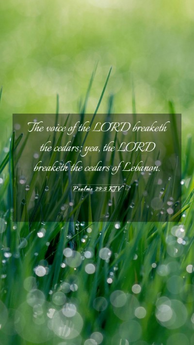 Picture 03 - Psalms 29:5 KJV Mobile Phone Wallpaper - The voice of the LORD breaketh the cedars; yea, - Mobile Bible Verse Wallpaper