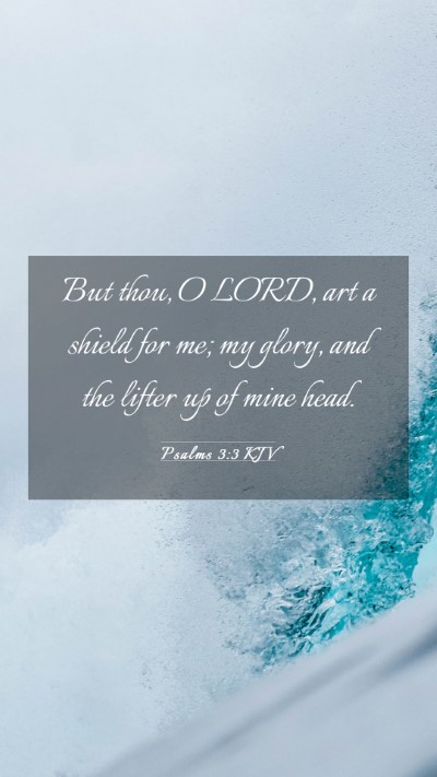Picture 03 - Psalms 3:3 KJV Mobile Phone Wallpaper - But thou, O LORD, art a shield for me; my glory, - Mobile Bible Verse Wallpaper