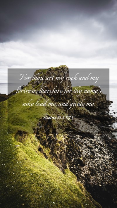 Picture 03 - Psalms 31:3 KJV Mobile Phone Wallpaper - For thou art my rock and my fortress; therefore - Mobile Bible Verse Wallpaper