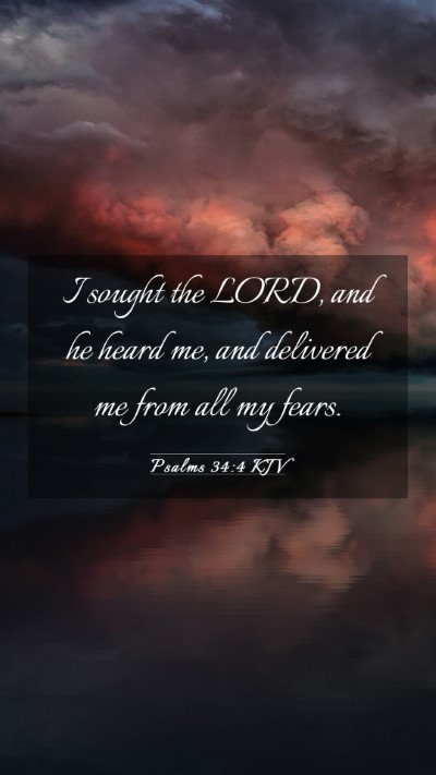 Picture 03 - Psalms 34:4 KJV Mobile Phone Wallpaper - I sought the LORD, and he heard me, and delivered - Mobile Bible Verse Wallpaper