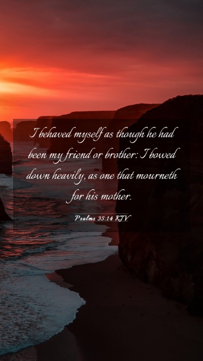 Picture 03 - Psalms 35:14 KJV Mobile Phone Wallpaper - I behaved myself as though he had been my friend - Mobile Bible Verse Wallpaper