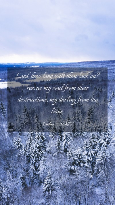 Picture 03 - Psalms 35:17 KJV Mobile Phone Wallpaper - Lord, how long wilt thou look on? rescue my soul - Mobile Bible Verse Wallpaper