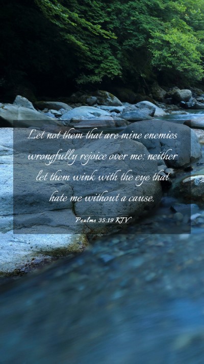 Picture 03 - Psalms 35:19 KJV Mobile Phone Wallpaper - Let not them that are mine enemies wrongfully - Mobile Bible Verse Wallpaper