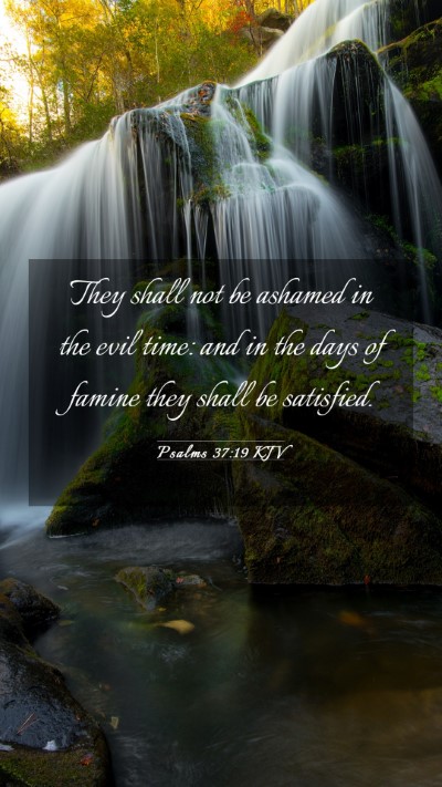 Picture 03 - Psalms 37:19 KJV Mobile Phone Wallpaper - They shall not be ashamed in the evil time: and - Mobile Bible Verse Wallpaper