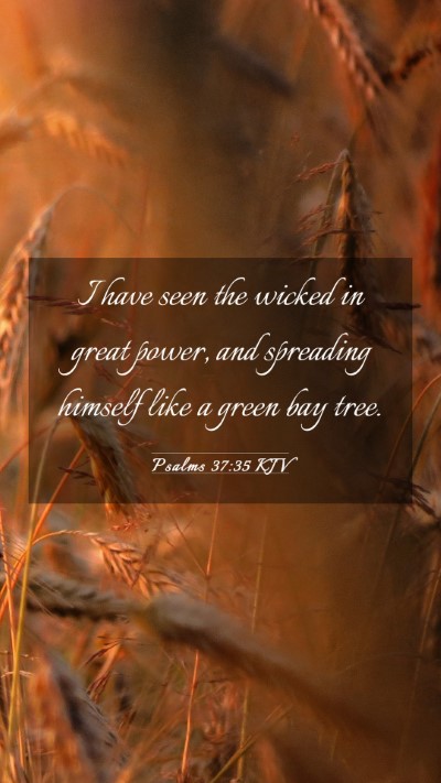 Picture 03 - Psalms 37:35 KJV Mobile Phone Wallpaper - I have seen the wicked in great power, and - Mobile Bible Verse Wallpaper