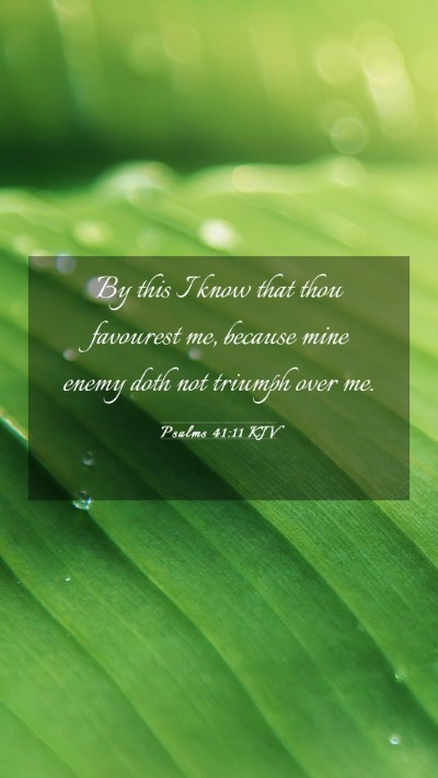 Picture 03 - Psalms 41:11 KJV Mobile Phone Wallpaper - By this I know that thou favourest me, because - Mobile Bible Verse Wallpaper