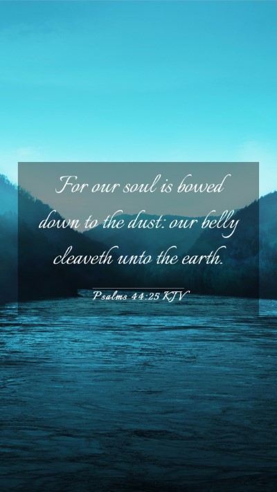 Picture 03 - Psalms 44:25 KJV Mobile Phone Wallpaper - For our soul is bowed down to the dust: our belly - Mobile Bible Verse Wallpaper