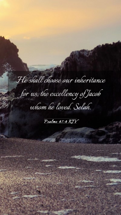 Picture 03 - Psalms 47:4 KJV Mobile Phone Wallpaper - He shall choose our inheritance for us, the - Mobile Bible Verse Wallpaper