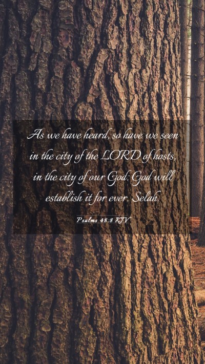 Picture 03 - Psalms 48:8 KJV Mobile Phone Wallpaper - As we have heard, so have we seen in the city of - Mobile Bible Verse Wallpaper