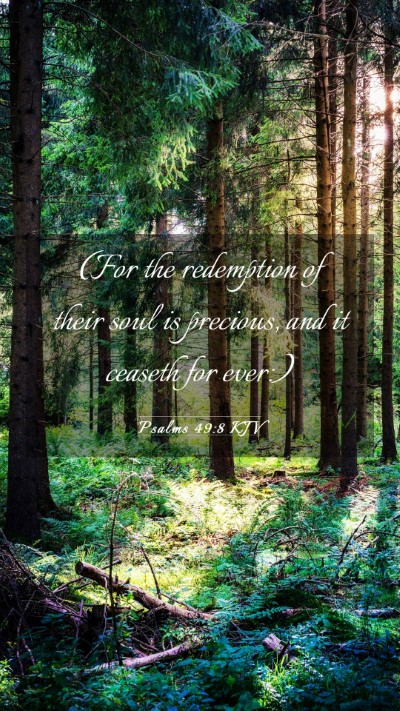 Picture 03 - Psalms 49:8 KJV Mobile Phone Wallpaper - (For the redemption of their soul is precious, - Mobile Bible Verse Wallpaper