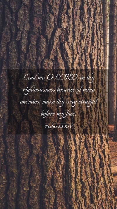 Picture 03 - Psalms 5:8 KJV Mobile Phone Wallpaper - Lead me, O LORD, in thy righteousness because of - Mobile Bible Verse Wallpaper