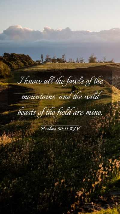 Picture 03 - Psalms 50:11 KJV Mobile Phone Wallpaper - I know all the fowls of the mountains: and the - Mobile Bible Verse Wallpaper