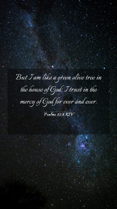Picture 03 - Psalms 52:8 KJV Mobile Phone Wallpaper - But I am like a green olive tree in the house of - Mobile Bible Verse Wallpaper