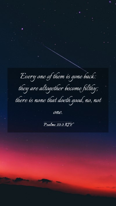 Picture 03 - Psalms 53:3 KJV Mobile Phone Wallpaper - Every one of them is gone back: they are - Mobile Bible Verse Wallpaper
