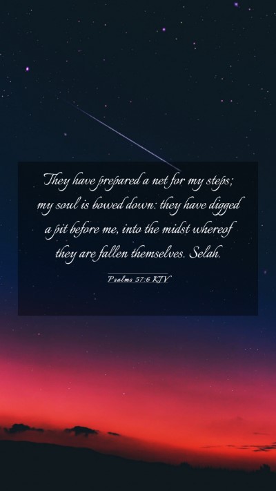Picture 03 - Psalms 57:6 KJV Mobile Phone Wallpaper - They have prepared a net for my steps; my soul is - Mobile Bible Verse Wallpaper
